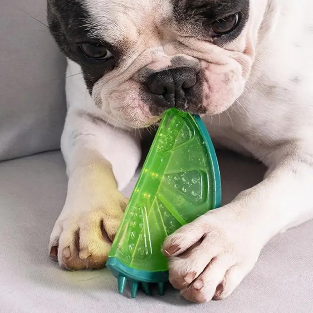 Freezable Dog Cooling Chew Toy