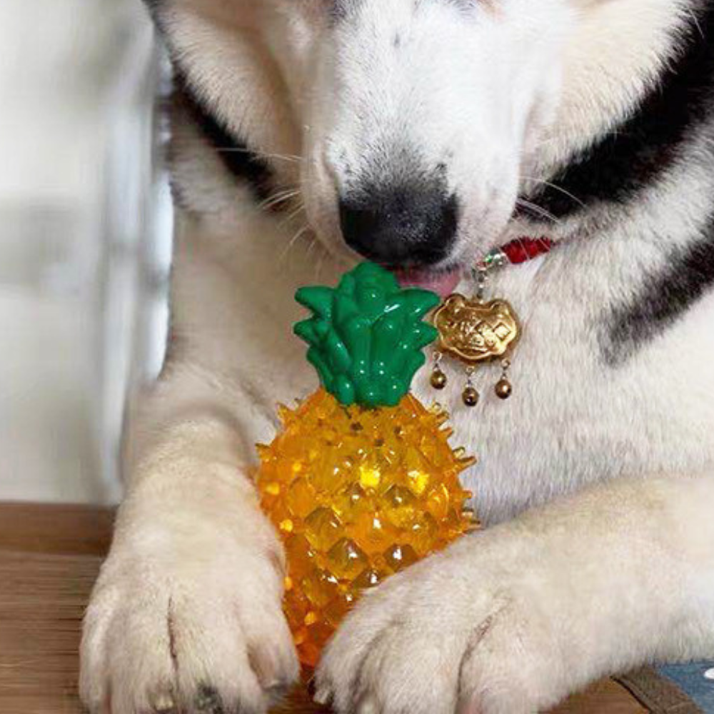 Freezable Dog Cooling Chew Toy