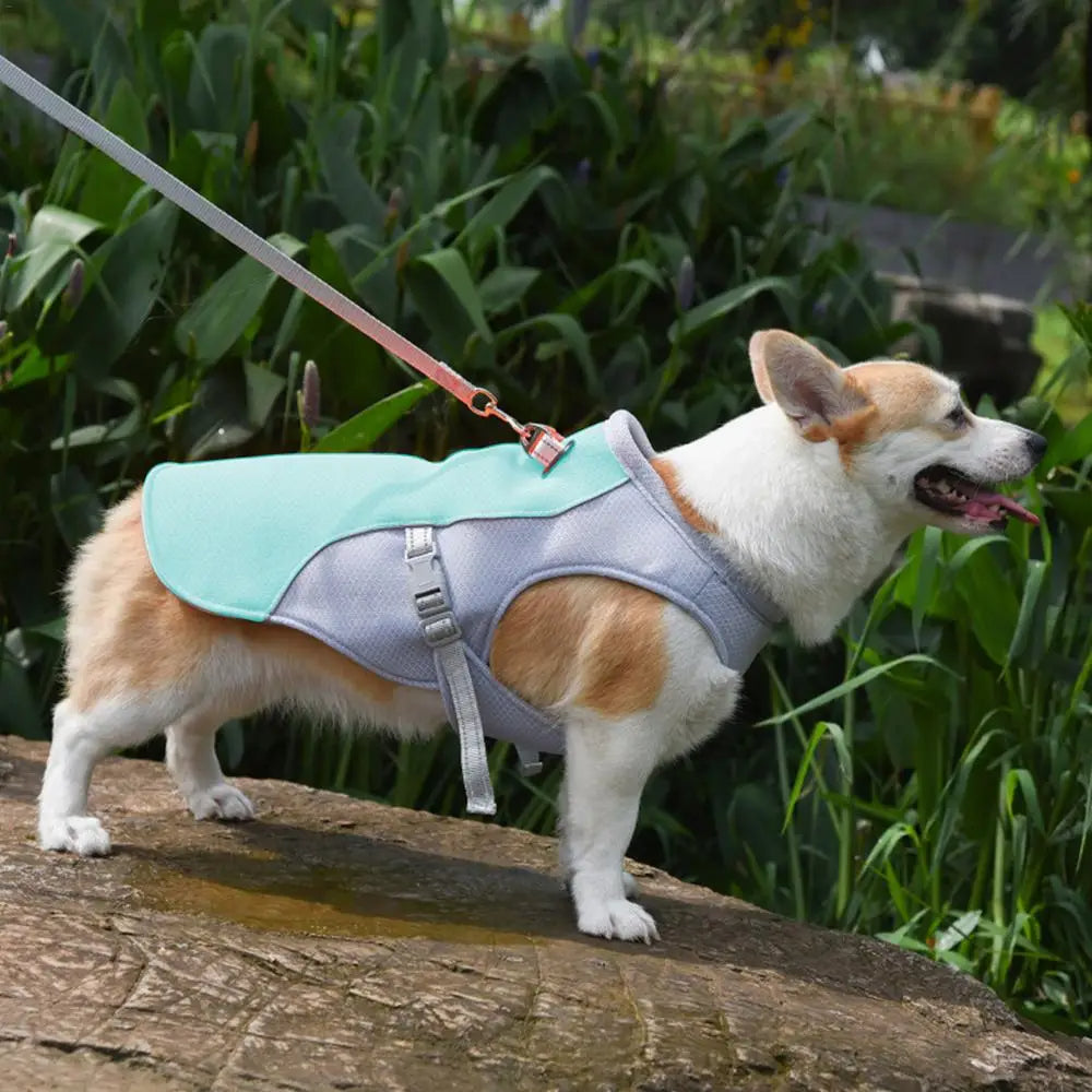 Dog Cooling Vest