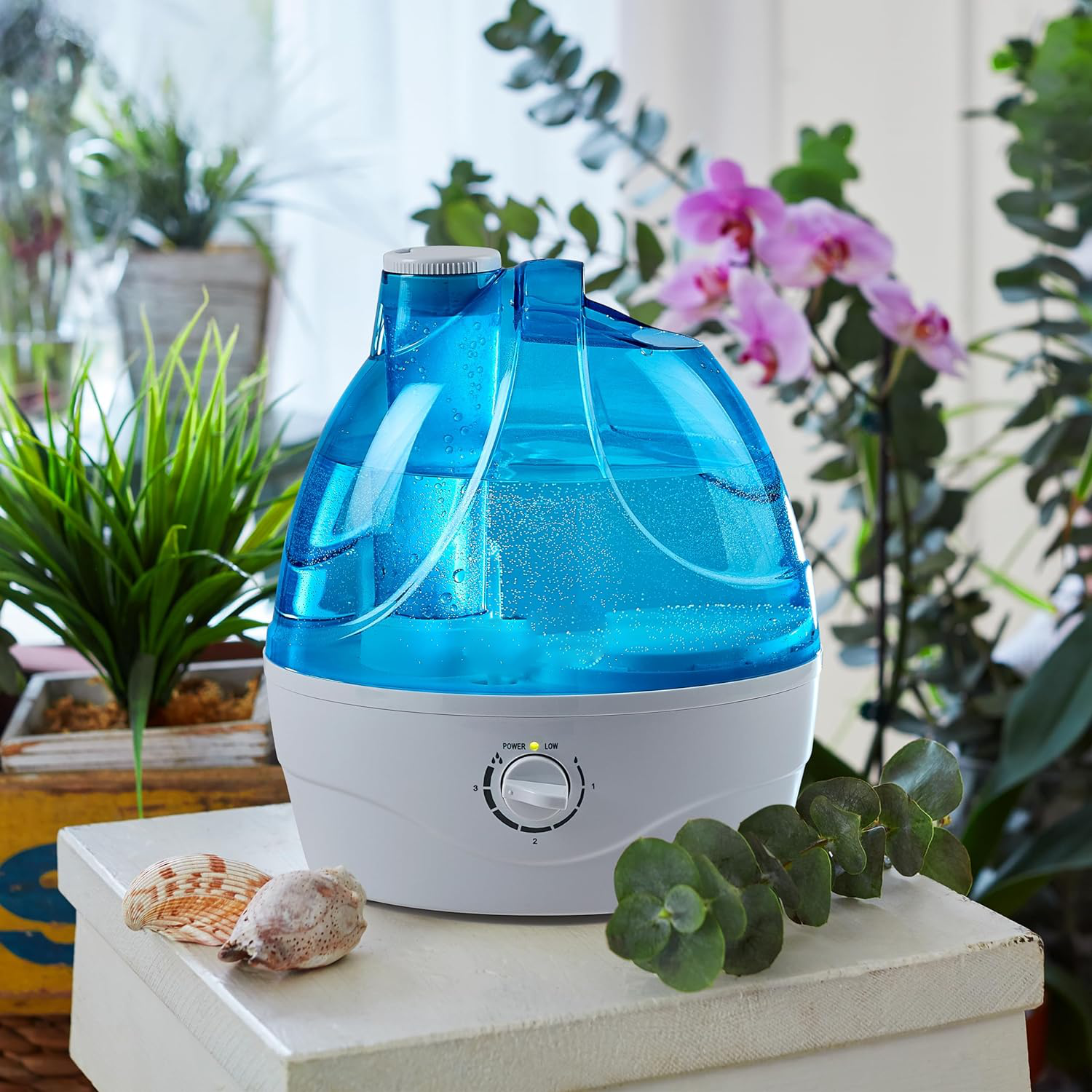 Whisper-Quiet Cool Mist Humidifier